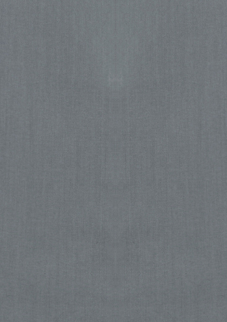 BIZ COLLECTION Mens Monaco Long Sleeve Shirt S770ML
