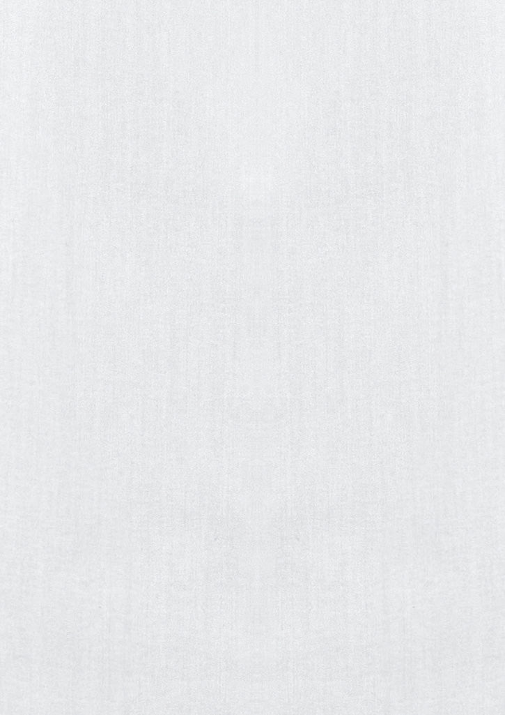 BIZ COLLECTION Mens Monaco Long Sleeve Shirt S770ML