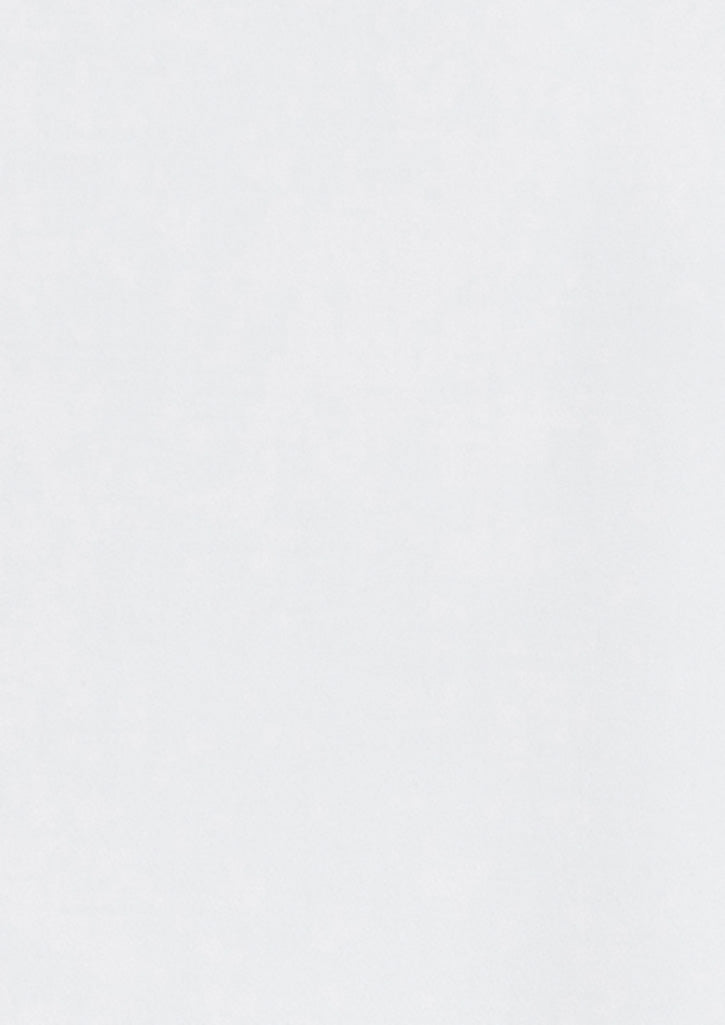 BIZ COLLECTION Mens Regent Long Sleeve Shirt S912ML